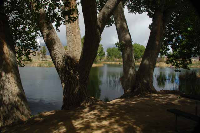 Millpond Recreation Area